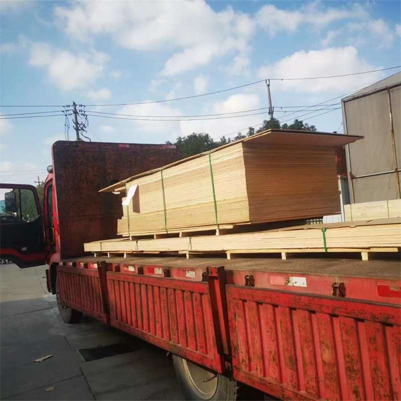 黑龙江绥化安达至塔城货运专线，一站式物流服务助您成功